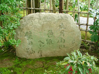 aae3a986.jpg