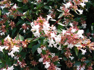 f59a49a2.jpg