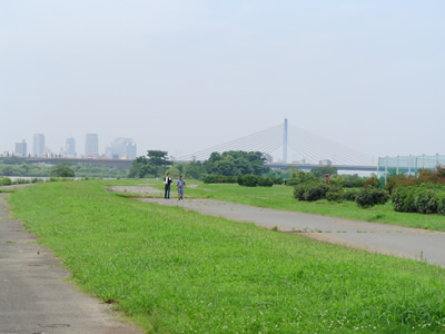 fd7b62ed.jpg