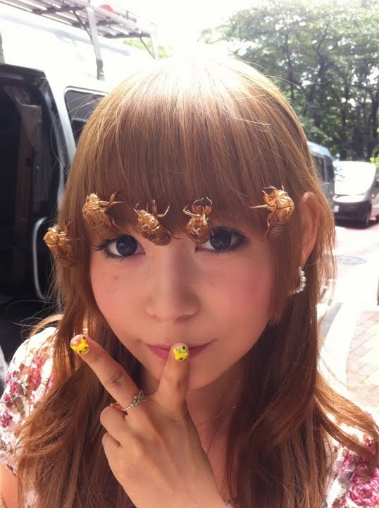 中川翔子 まーたしょこたんがやらかしたああああああああ グロ中尉 ２ｃｈみんなのまとめ