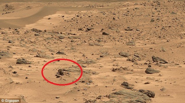 23AC6C7B00000578-2857974-image-3_1417547721982