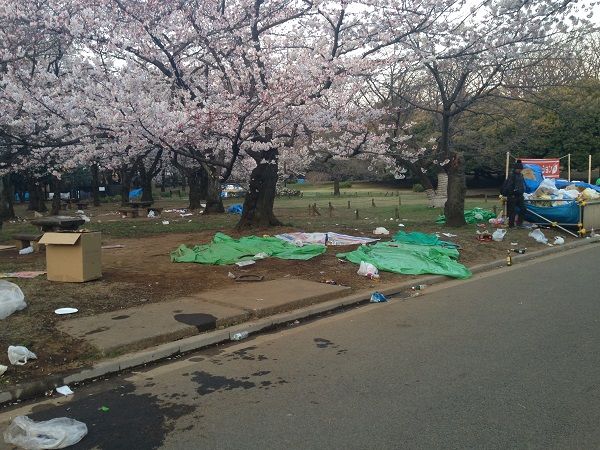 日本人よ恥を知れ！せっかくの桜が台無し！