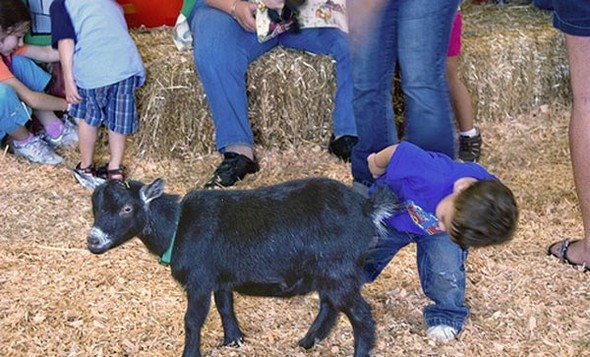 kids-you-just-gotta-love-them-06