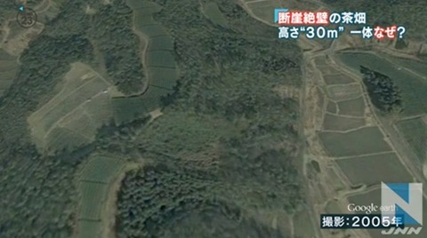 京都茶畑問題-2005年