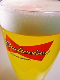 Bud