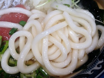 麦の城@大森(11)梅じゃこうどん440