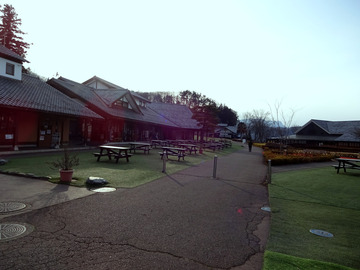 樽沢@高崎市 (5)群馬太切り生そば570(於:田園プラザ)