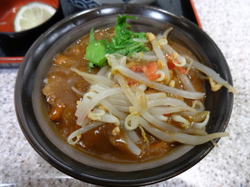 麦の城@大森(8)こく旨パクチーうどん580茶碗カレーライス170
