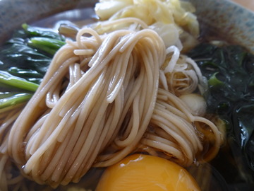 山本食品@長野県(6)更科そば238ビッグヨーサン