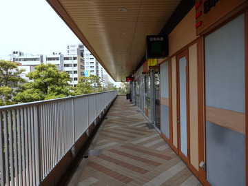 鈴家@市川 (1)冷やしそば320春菊天100