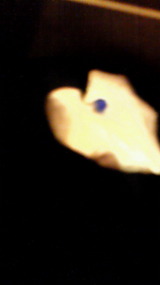 cf4870b6.jpg