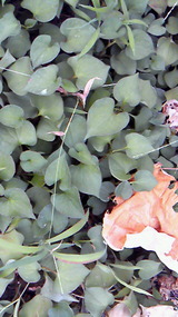 f5914450.jpg