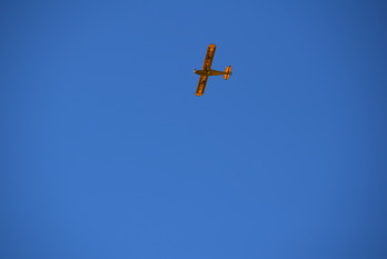 DSC_0875
