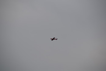 DSC_0368