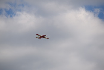 DSC_0879