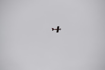 DSC_0561
