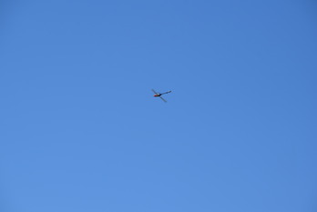 DSC_0855