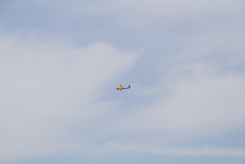 DSC_0485
