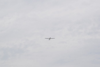 DSC_0590