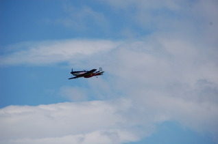DSC_0602