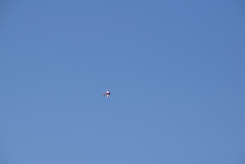 DSC_0541