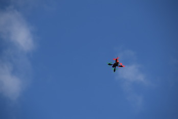DSC_0791