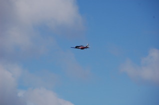 DSC_0626