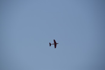 DSC_0085