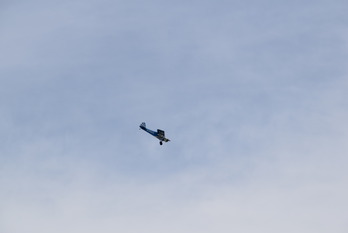 DSC_0527