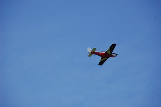 DSC_0624