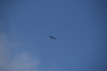 DSC_0786