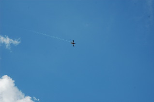 DSC_0337