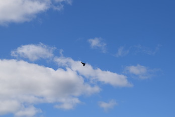 DSC_0749
