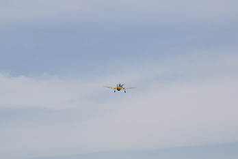 DSC_0510