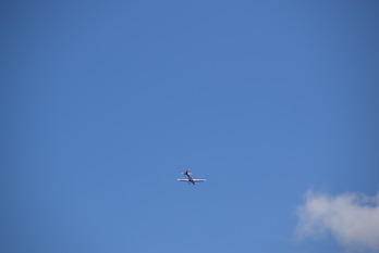 DSC_0766