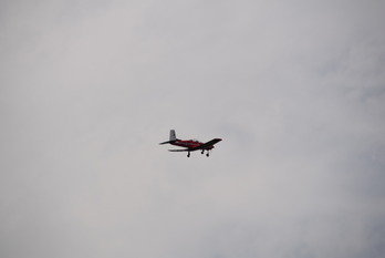 DSC_0375