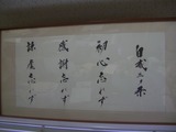 CIMG3804