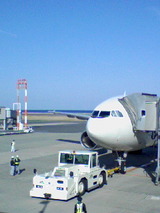 1cb2c87e.jpg