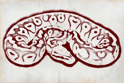 BP-PaMoGo_Charcoal_1