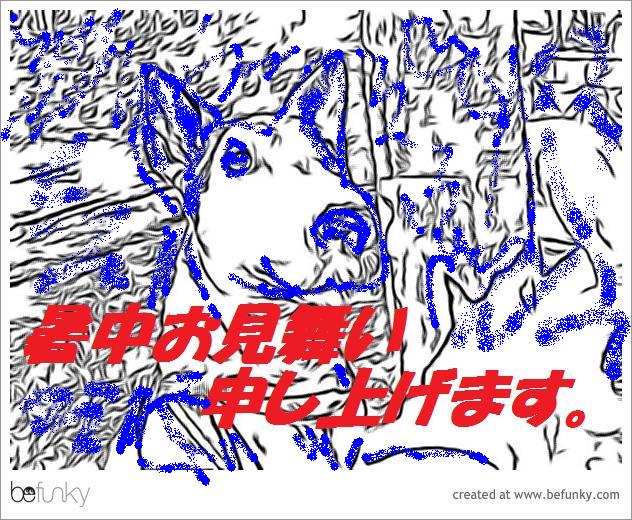 しょちゅうおみまい