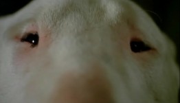 興味