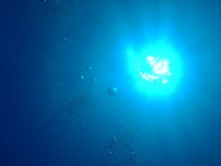 297b295b7af874570d85351d20536b84