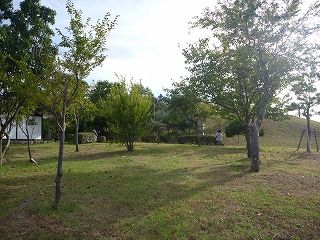 P1100311