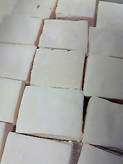 NEC_0109
