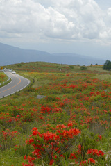 車山肩２