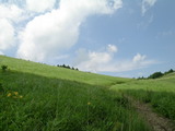 肩