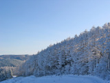 樹氷２