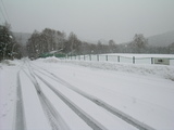 雪