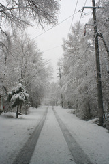 道路　積雪