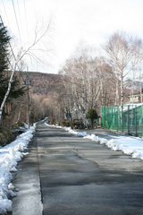 道路　雪解け